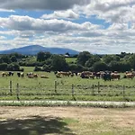 Knockreagh Farm Mountain Or Cedar Views *