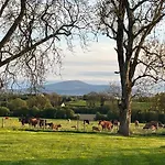 Knockreagh Farm Mountain Or Cedar Views Prázdninový dům