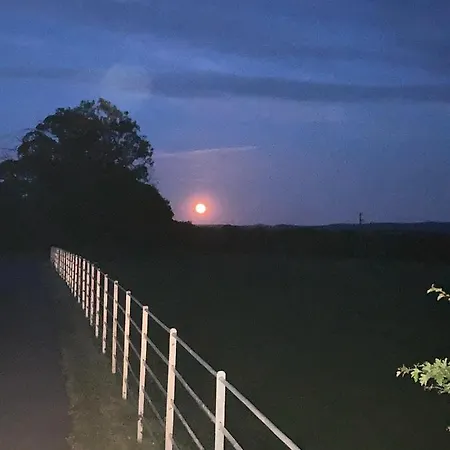 Knockreagh Farm Mountain Or Cedar Views Kilkenny
