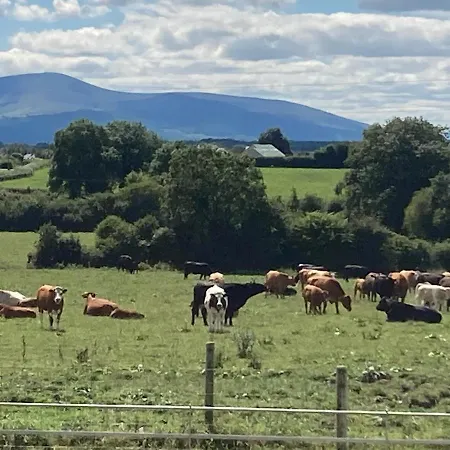Knockreagh Farm Mountain Or Cedar Views *