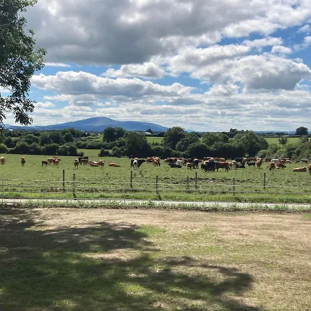 Knockreagh Farm Mountain Or Cedar Views Kilkenny