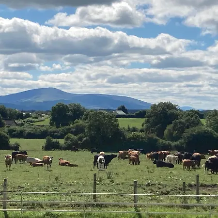 Knockreagh Farm Mountain Or Cedar Views Tatil Evi Kilkenny