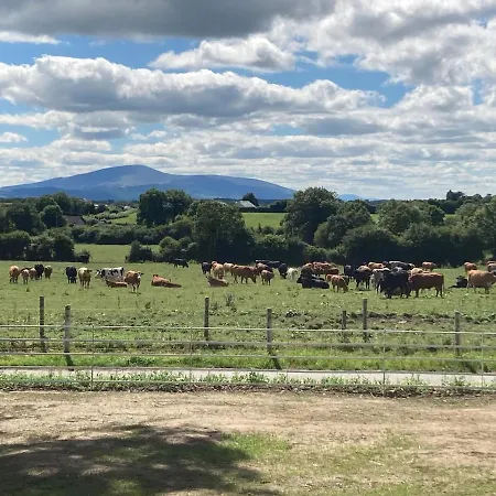 Knockreagh Farm Mountain Or Cedar Views *