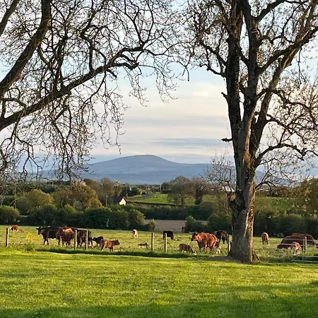 Knockreagh Farm Mountain Or Cedar Views Tatil Evi
