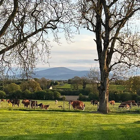 Tatil Evi Knockreagh Farm Mountain Or Cedar Views