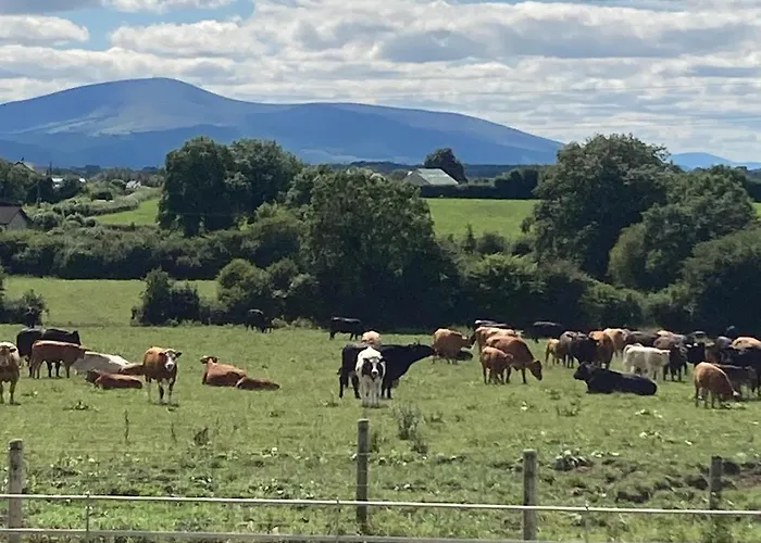 Knockreagh Farm Mountain Or Cedar Views *