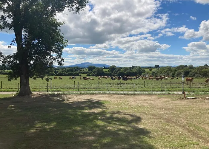 Knockreagh Farm Mountain Or Cedar Views Kilkenny