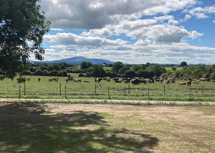 Knockreagh Farm Mountain Or Cedar Views Kilkenny