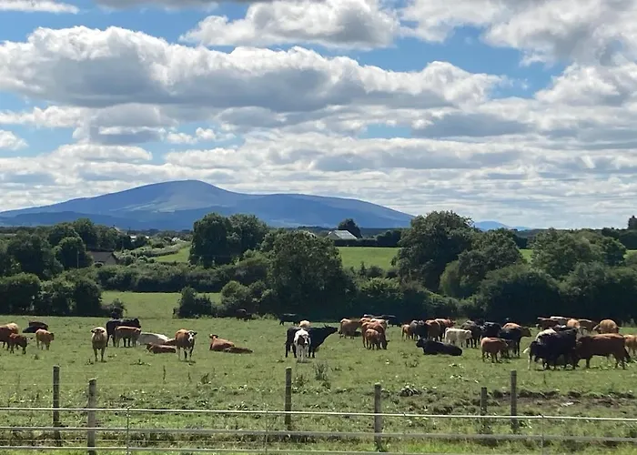 Knockreagh Farm Mountain Or Cedar Views Vakantiehuis Kilkenny