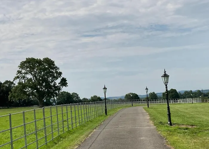 Knockreagh Farm Mountain Or Cedar Views Kilkenny