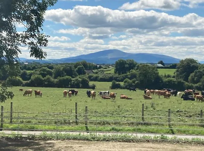 Vakantiehuis Knockreagh Farm Mountain Or Cedar Views *