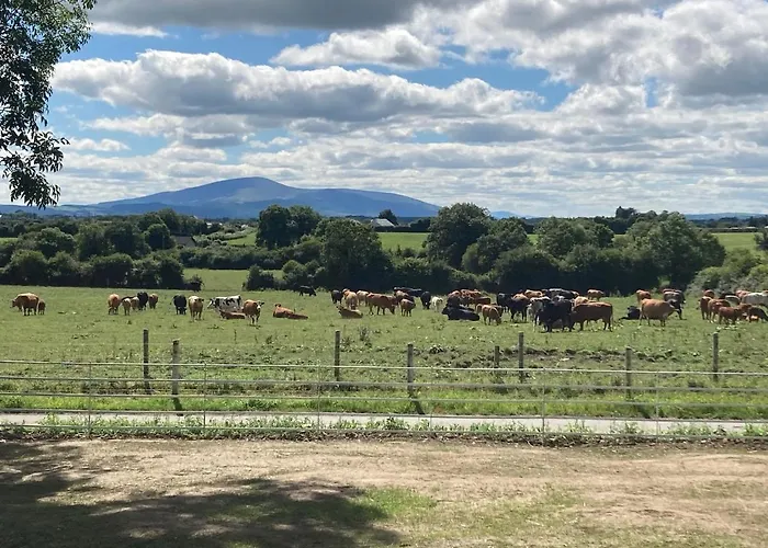 Knockreagh Farm Mountain Or Cedar Views *