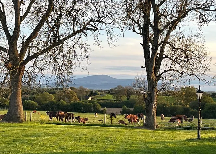 Knockreagh Farm Mountain Or Cedar Views Dom wakacyjny