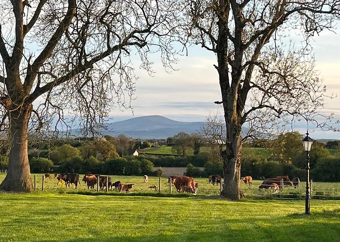 Dom wakacyjny Knockreagh Farm Mountain Or Cedar Views