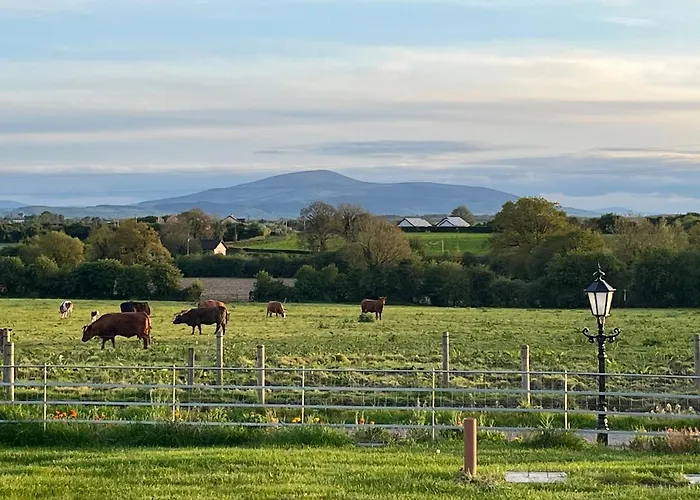 Knockreagh Farm Mountain Or Cedar Views Dom wakacyjny