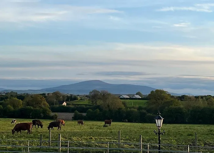 Knockreagh Farm Mountain Or Cedar Views Vakantiehuis *